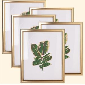 8x10 Matte Gold Picture Frames